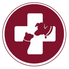 Animal Hospital of Saco