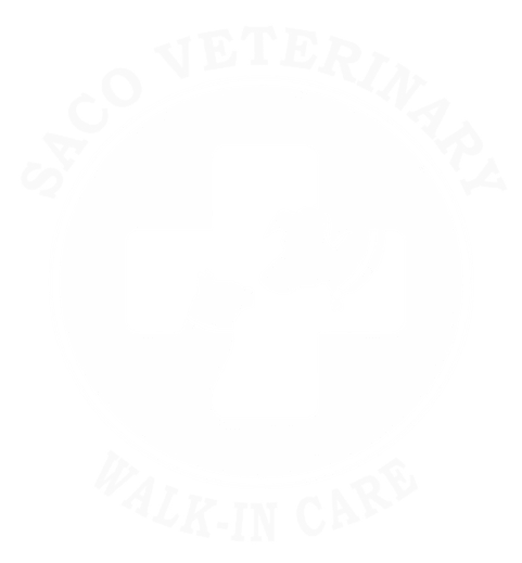 Saco Veterinary Walk-in Care